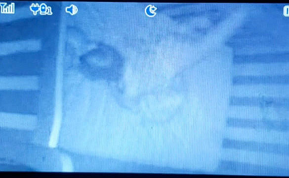 На бэби-монитор засняли как нечто тянуло ребенка за ноги