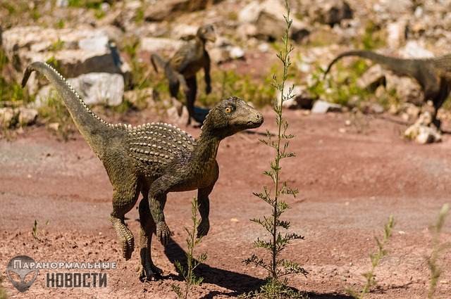 В Техасе регулярно видят существ, похожих на миниатюрных двуногих динозавров