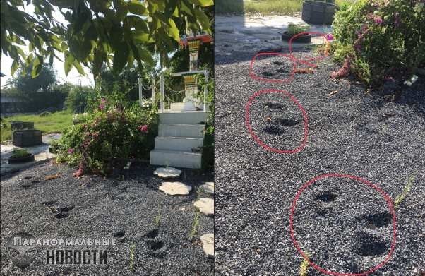 Мужчина обнаружил возле своего дома странные следы