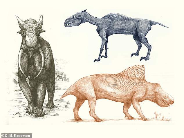 Кошмарные рисунки показывают как выглядели бы животные, если бы их рисовали на основе их скелета, как рисуют динозавров