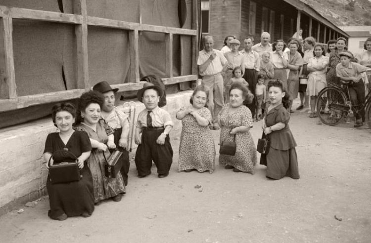 Семь гномов из Освенцима: Печальная судьба семьи Овиц