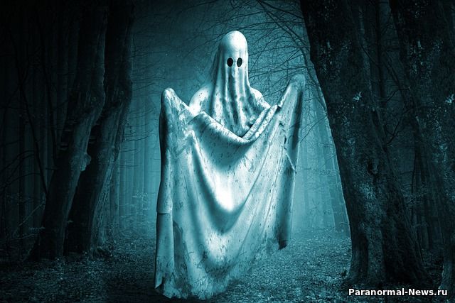Датчики автомобиля Tesla обнаружили призрак человека на кладбище