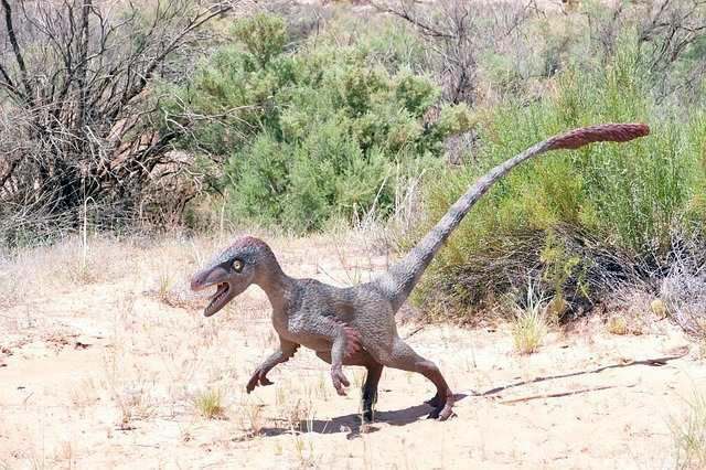 Динозавр на заднем дворе: На камеру наблюдения попало существо, похожее на велоцираптора