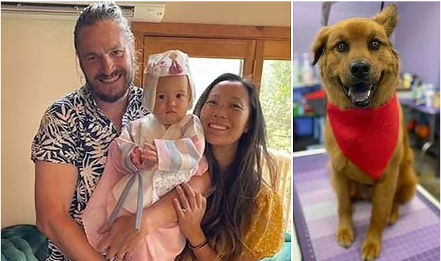 «Очень странная ситуация»: Семья и их собака найдены мертвыми без видимых травм на тропе в Дьявольском ущелье Калифорнии