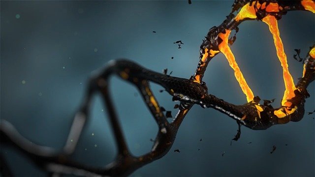 Обнаружены возможные следы ДНК динозавров