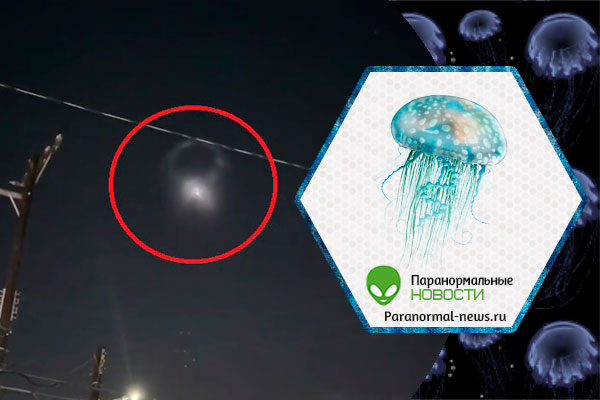 НЛО, похожий на медузу, проплыл по небу над Мексикой