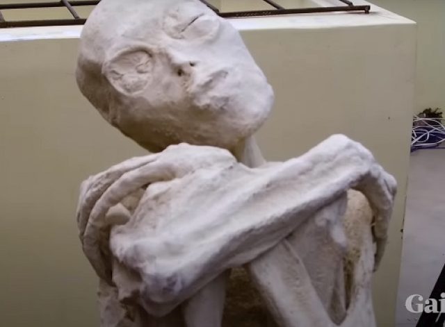 Исследование мумии «инопланетянина» из Перу показало, что скелет похож...