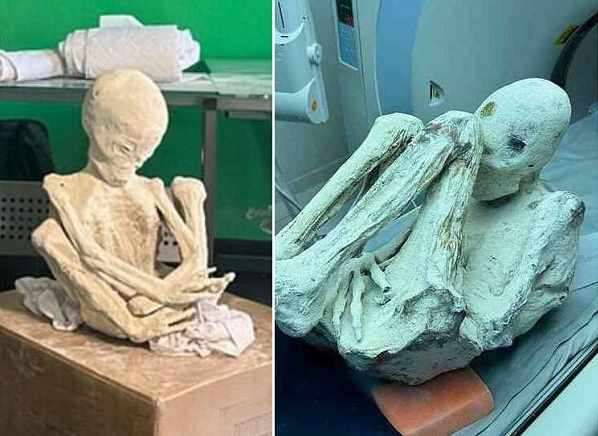 В Перу обнаружены две новые «инопланетные» мумии