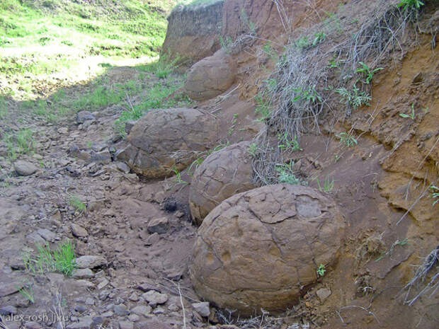 Странные окаменелости в Котовском районе. Яйца динозавров или нет?