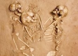 Древние скелеты найдены в Сахаре