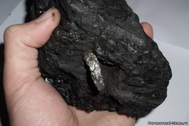 Алюминиевый стержень возрастом 300 млн. лет нашли в Приморье