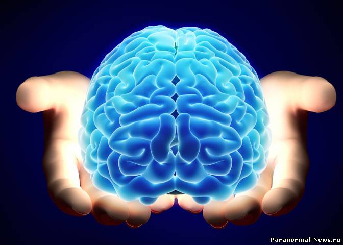 Возможна ли пересадка человеческого мозга?