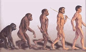 Ученые говорят о конце эволюции: Человеку не с кем бороться за существование, он слишком предсказуем